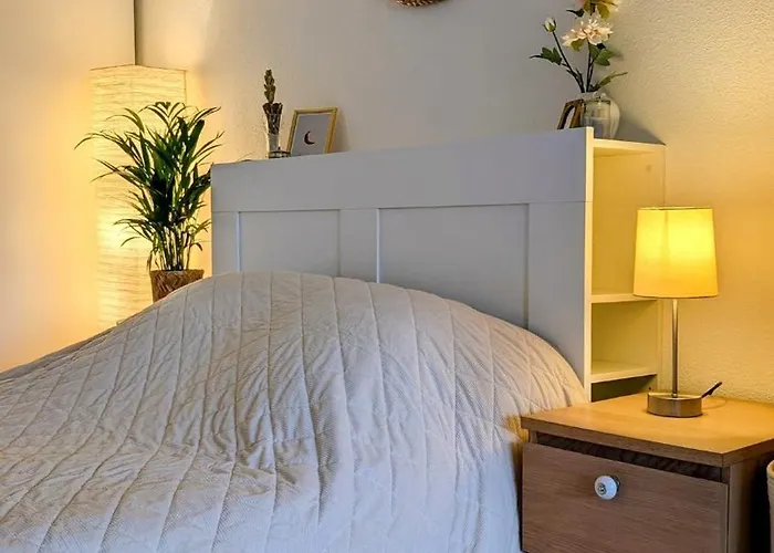 Appt Lumineux Refait à Neuf, Vers Place Stalingrad Bordeaux