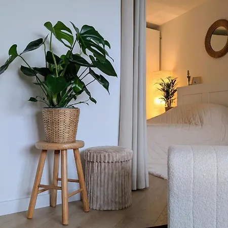 Appt Lumineux Refait à Neuf, Vers Place Stalingrad *